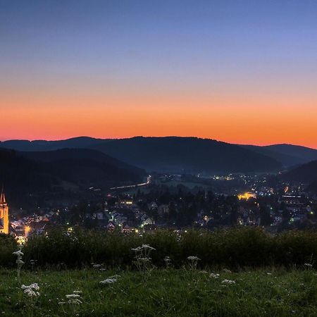 Drei Tannen - Wohnung 04 - Apartmenthaus, Titisee, Nahe Badeparadies Екстер'єр фото