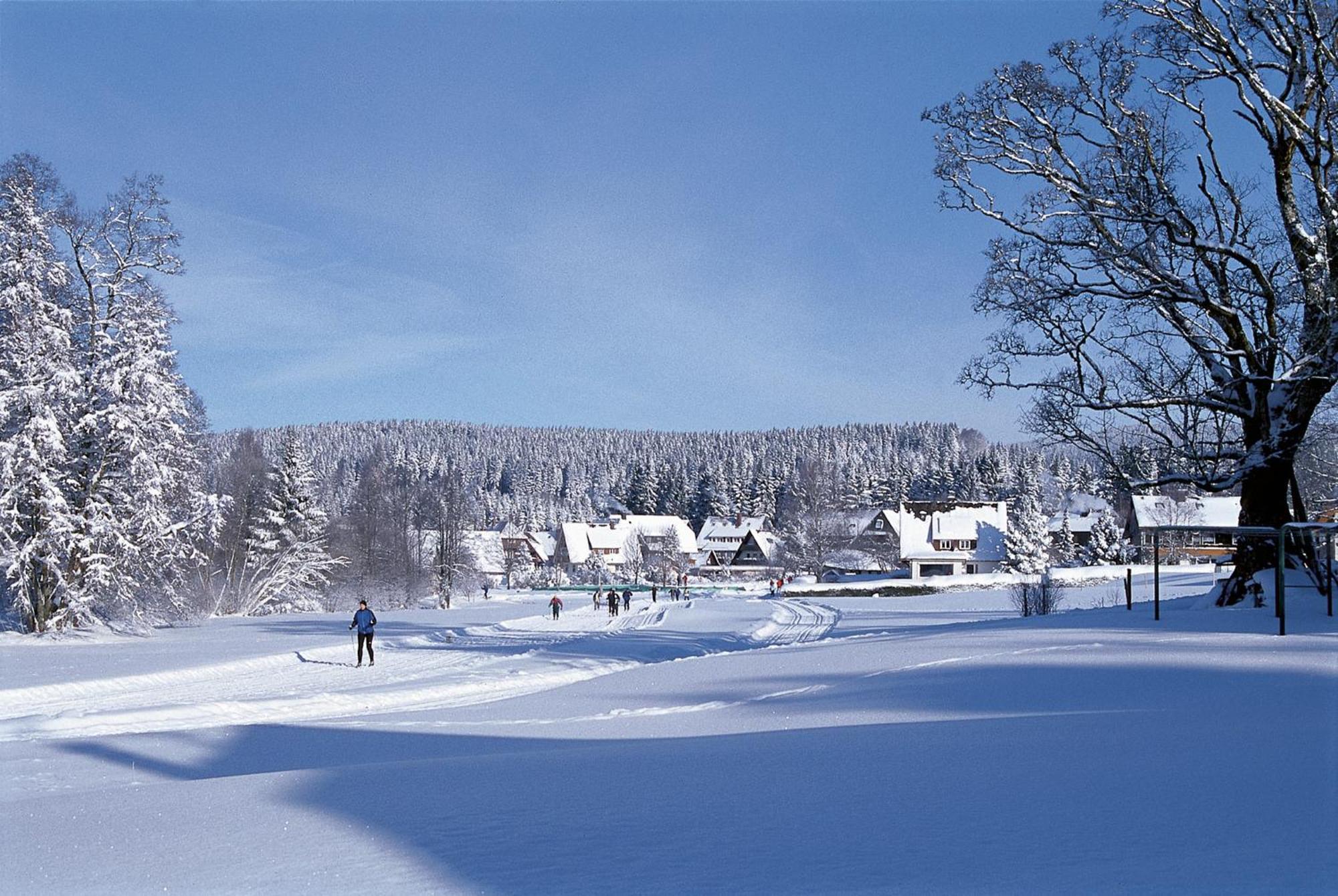 Drei Tannen - Wohnung 04 - Apartmenthaus, Titisee, Nahe Badeparadies Екстер'єр фото