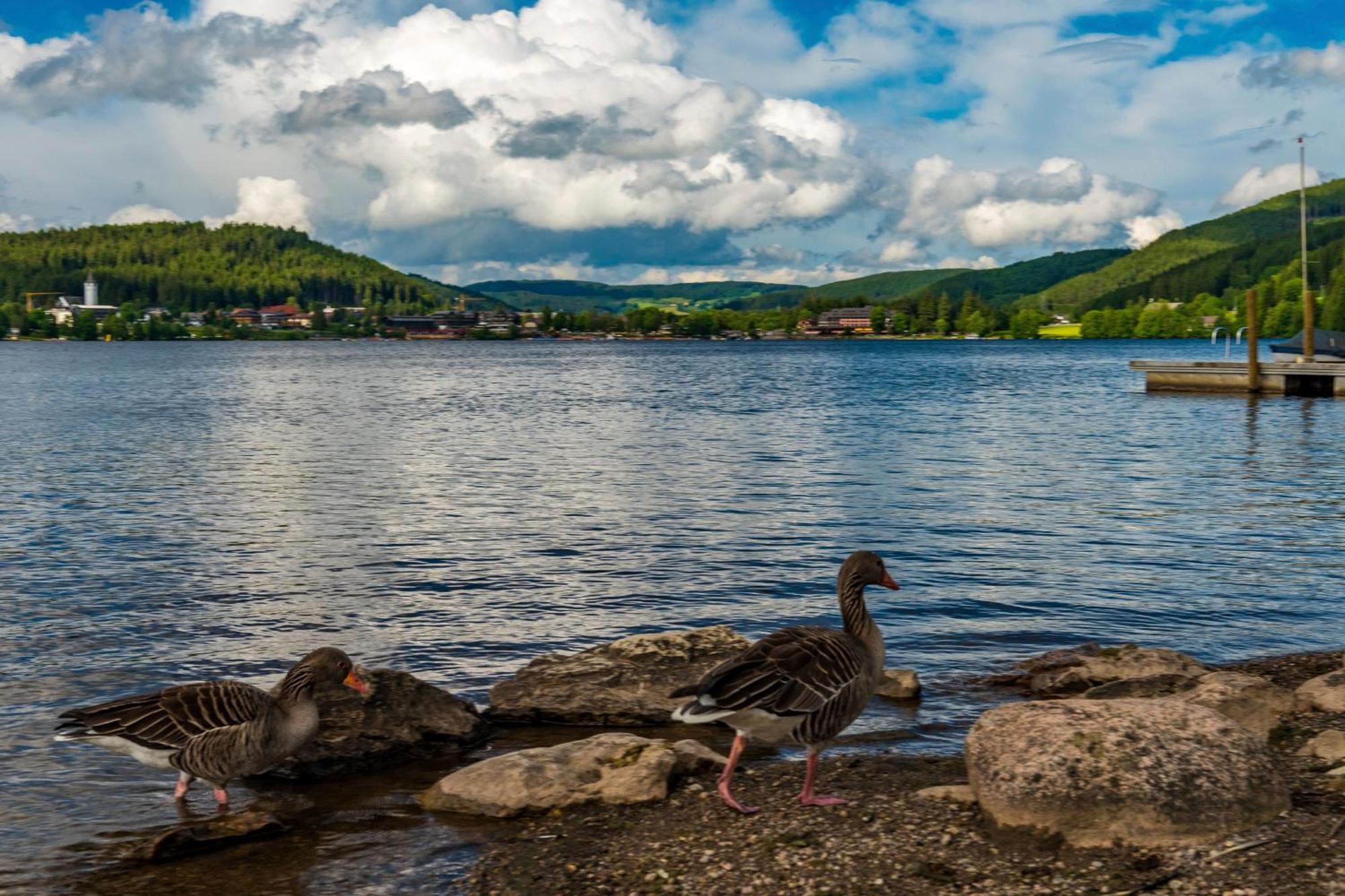 Drei Tannen - Wohnung 04 - Apartmenthaus, Titisee, Nahe Badeparadies Екстер'єр фото