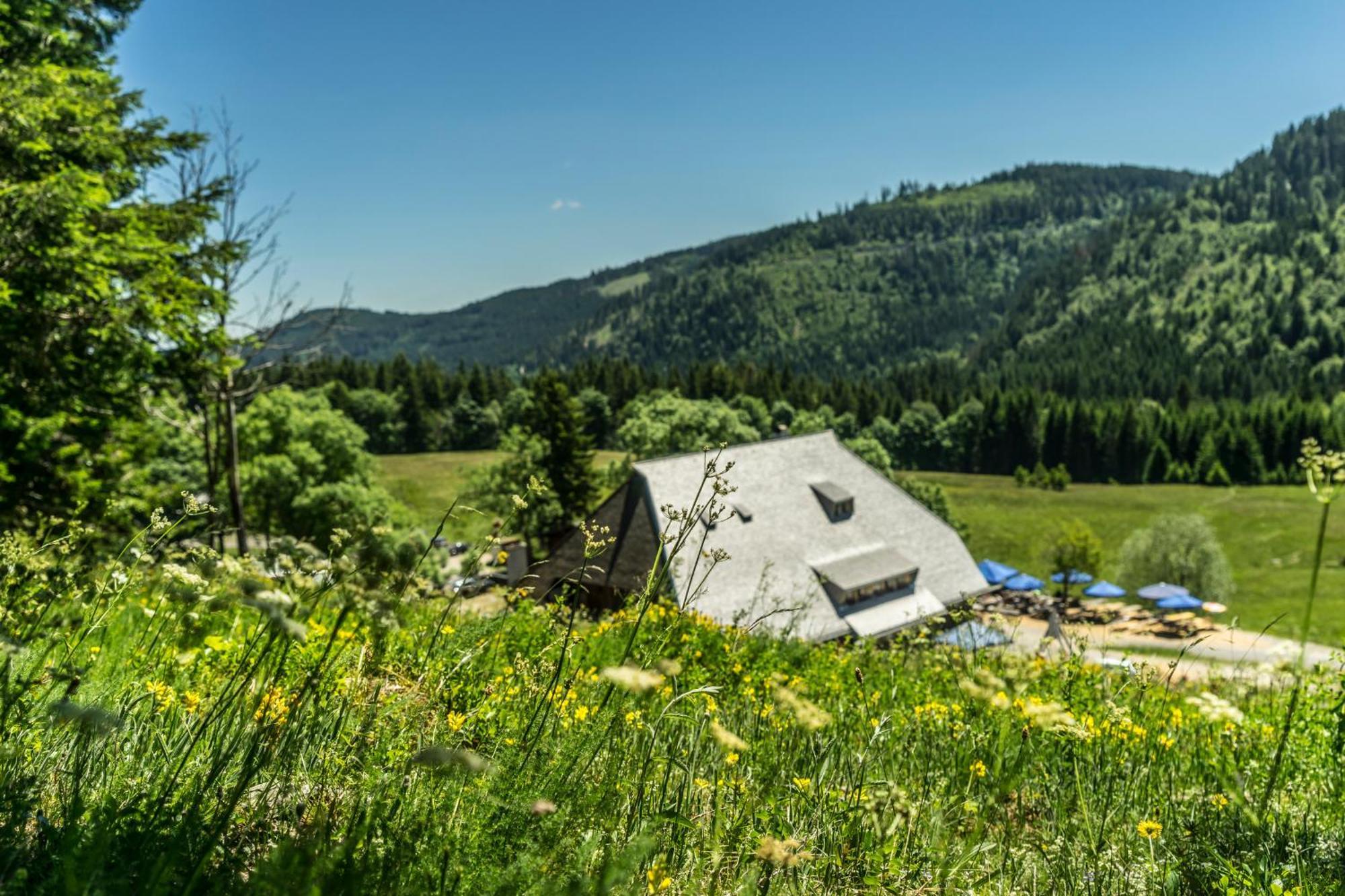 Drei Tannen - Wohnung 04 - Apartmenthaus, Titisee, Nahe Badeparadies Екстер'єр фото