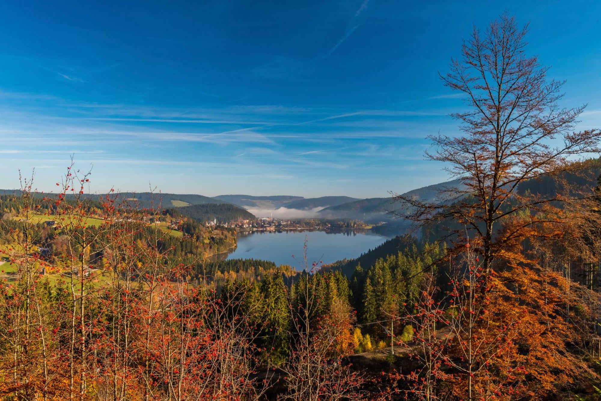 Drei Tannen - Wohnung 04 - Apartmenthaus, Titisee, Nahe Badeparadies Екстер'єр фото