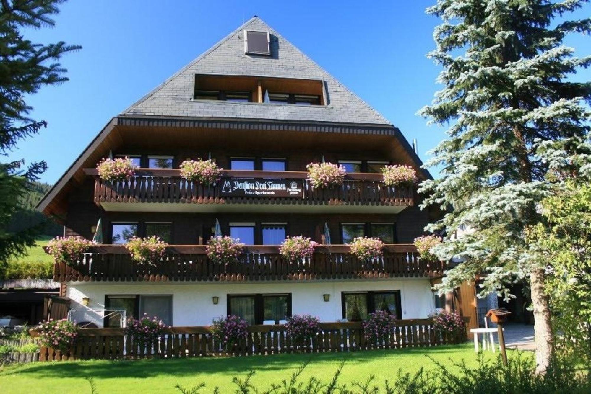 Drei Tannen - Wohnung 04 - Apartmenthaus, Titisee, Nahe Badeparadies Екстер'єр фото