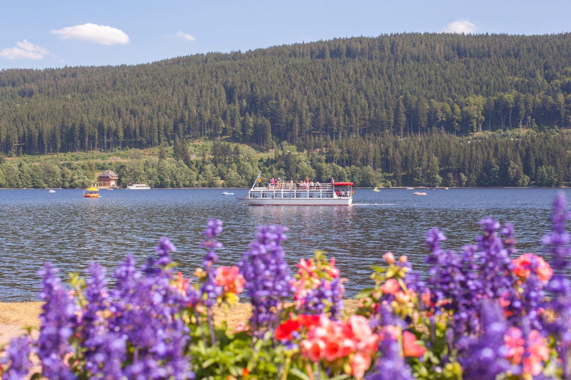 Drei Tannen - Wohnung 04 - Apartmenthaus, Titisee, Nahe Badeparadies Екстер'єр фото
